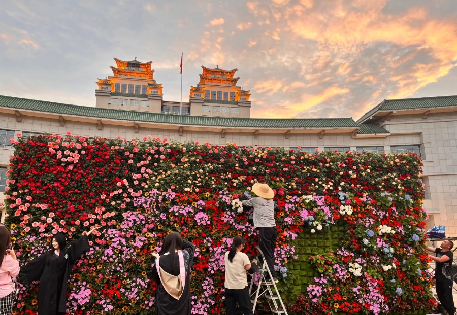 微信截图_20250604160915